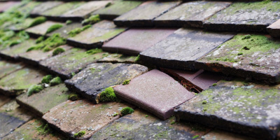 Harvington roof repair costs